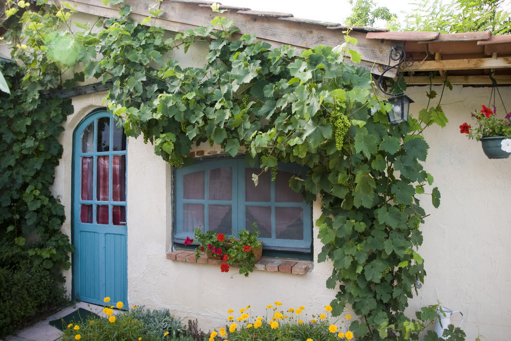 Chambre D'Hotes Oeuil De Bouc Madiran Rom bilde